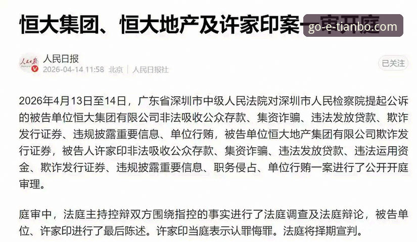 从“金元帝国”到法庭被告：许家印案的多维度解析